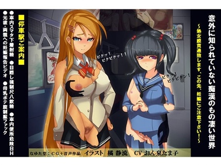 1x1.trans (同人CG集) [121116] [那由多堂] 意外に知られていない痴漢のもの凄い世界～処女膜貫通致します、この先、妊娠にご注意下さい～